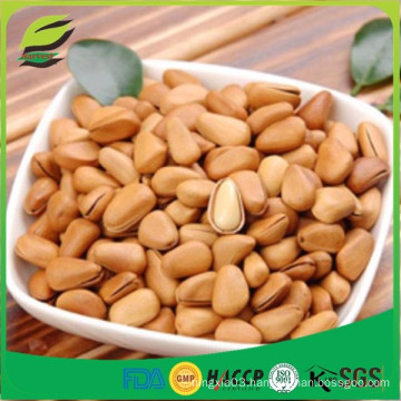 Favorable price of organic pine nut Kernels